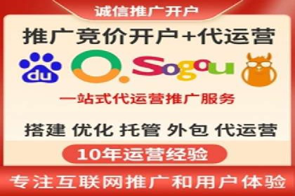 SEO百度推广策略：成功案例解析